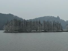 -东湖落雁景区
