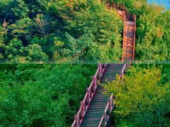 -大岭沟猕猴桃谷风景区
