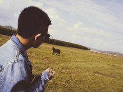 -塞罕坝国家级自然保护区