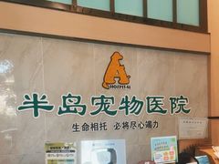 -半岛宠物医院24小时(科华中路店)