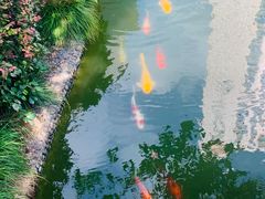 -上海虹桥宾馆·SLIDER(郁锦香店)
