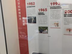 -牙博士口腔品牌连锁(杨浦店)