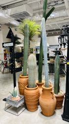 -好看加白色房子