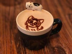 -吉丁鸟咖·异宠·寄养