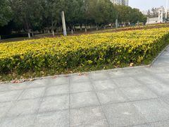 -汉江湾体育公园