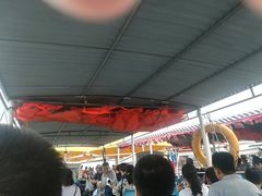 -白洋淀景区
