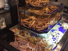 -蟹道乐(道顿堀本店)