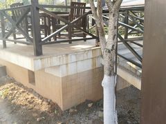 -三江森林温泉度假区