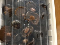 -春风松月楼(七宝万科店)