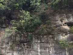 -清远鱼水旅游风景度假区