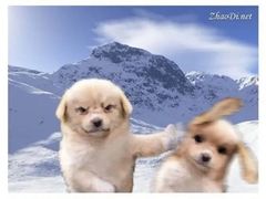 -海富荣·锅贴·陕菜家常菜(阳光城店)