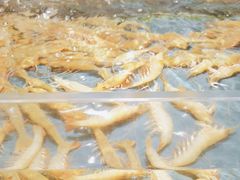 -龙宴海鲜城(经中路店)