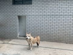 -银川动物园