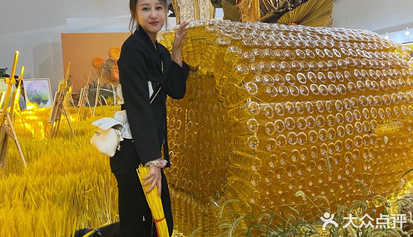 福临门大丰收不一样的玉米展