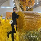 福临门大丰收不一样的玉米展