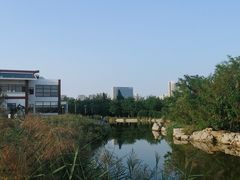 -绿岛公园(滨海新区)