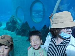 -北戴河圣蓝海洋公园