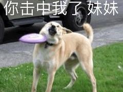 -石灰窑健民食品店(人民街店)