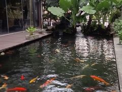 -新世纪大酒楼·30年南海菜