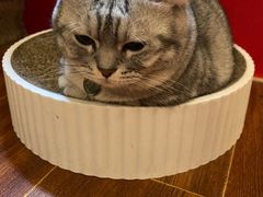 -H立方实景剧情密室(天河旗舰店)