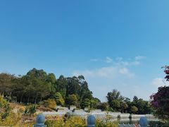 -广州莲花山旅游区