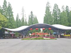 -东平国家森林公园