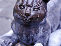 -西安大兴善寺