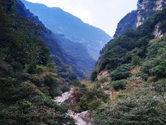 -陕西省红河谷森林公园