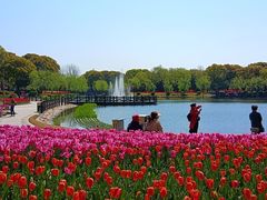 -上海鲜花港