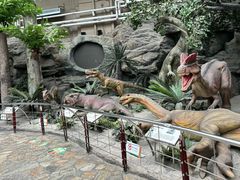 -国家自然博物馆