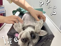 -美联众合动物医院·24h转诊中心