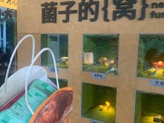 -皇庭广场(福华三路店)