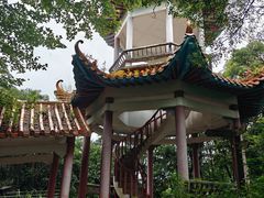 -天鹿湖森林公园