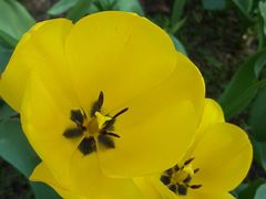 -长春公园(普阳街道)