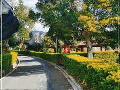 -世界恐龙谷景区