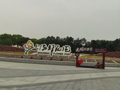 -上海鲜花港