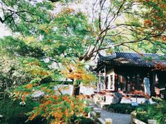 -上海醉白池公园