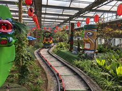 -南宫五洲植物乐园