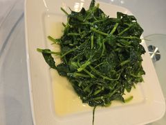 -正兴蜀园(科技园区店)