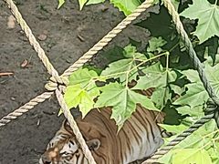 -西霞口神雕山野生动物世界