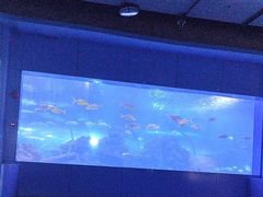 -重庆欢乐海底世界