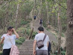 -紫金山山顶公园