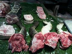 鳄鱼肉！！！！-渔民新村(番禺总店)