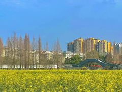 -蜀绣公园