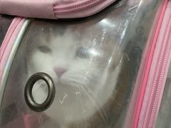-贝利宠物医院·骨科·眼科·肿瘤转诊中心(南坪诊疗中心)