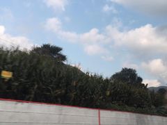 -府君山公园
