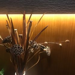 -THE LOG SALON 记录