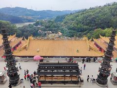 -东莞市大岭山森林公园
