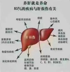 点击看大图 -香薇妮丝女子减肥院