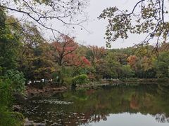 -灵谷景区